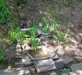 A water feature in the Veil Grove, Barrmill Park