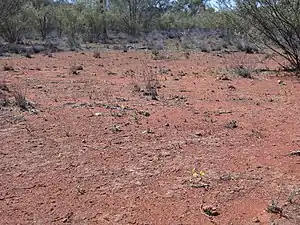 Habitat
