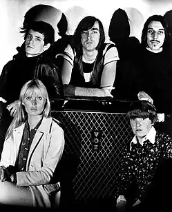 The Velvet Underground in 1966. Clockwise from top left: Lou Reed, Sterling Morrison, John Cale, Moe Tucker, Nico.