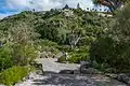 Jardín de Viera y Clavijo