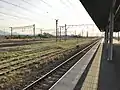 A view of the sidings south of the station.