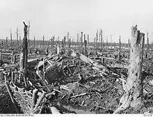 Bellewaarde Ridge, after the battle