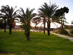 Park Afridar