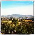 View over Sumadija in Orasac