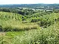 Coteaux du Saillant-Vezere near La Chartroulle