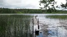 Lake Viisjaagu in Vellavere