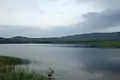 Vikevannet in summer.