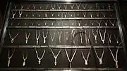 Hyoid bones of various birds in the Natural History Museum, Vienna