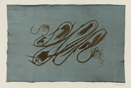 Coup de Fouet or whiplash motif, depicting the stems of cyclamen flowers, by Hermann Obrist (1895)