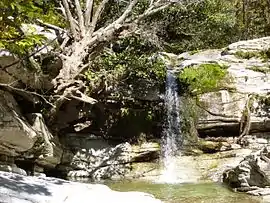 Waterfall in Maries