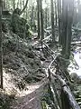 Water Mill’s Route