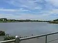 Portland Lagoon, viewed from the western boardwalk