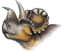 Wendiceratops by Danielle Dufault