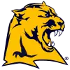 Panther Head