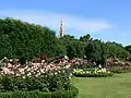 Rosegarten