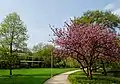 Florapark  gardens