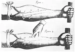 Image 38Image of veins from William Harvey's Exercitatio Anatomica de Motu Cordis et Sanguinis in Animalibus. Harvey demonstrated that blood circulated around the body, rather than being created in the liver. (from Scientific Revolution)
