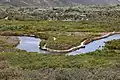 A meander in the Tidal River (Victoria)