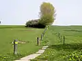 Pasture in Wittenbeck
