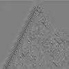 Rule 75