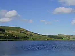 Woodhead