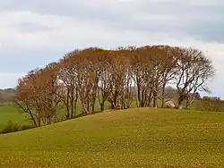 Wren's Egg and Nest, Bronze Age cists, Blairbuy Farm