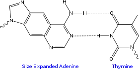size
