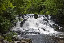 A small waterfall over rocks in a forested area, seen from a three-quarter angle, with the water blurred reflecting a longer exposure