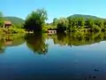 West Morava in Trstenik