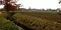 View on Welden