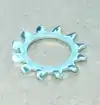Toothed lock washer with external teeth