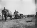 The British Indian Army's elephant battery of heavy artillery along the Khyber Pass at Campbellpur, 1895
