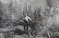 Burning off near Moscow Villa. Circa 1951