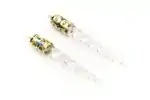 Two crystal aiglets