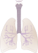lung