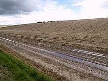 A photograph of a ploughed field.